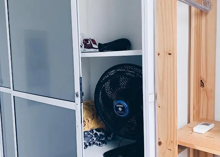 Miau De Pipa